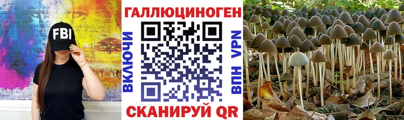 сколько стоит  Саянск  omg сайт  Псилоцибиновые грибы MAGIC MUSHROOMS 